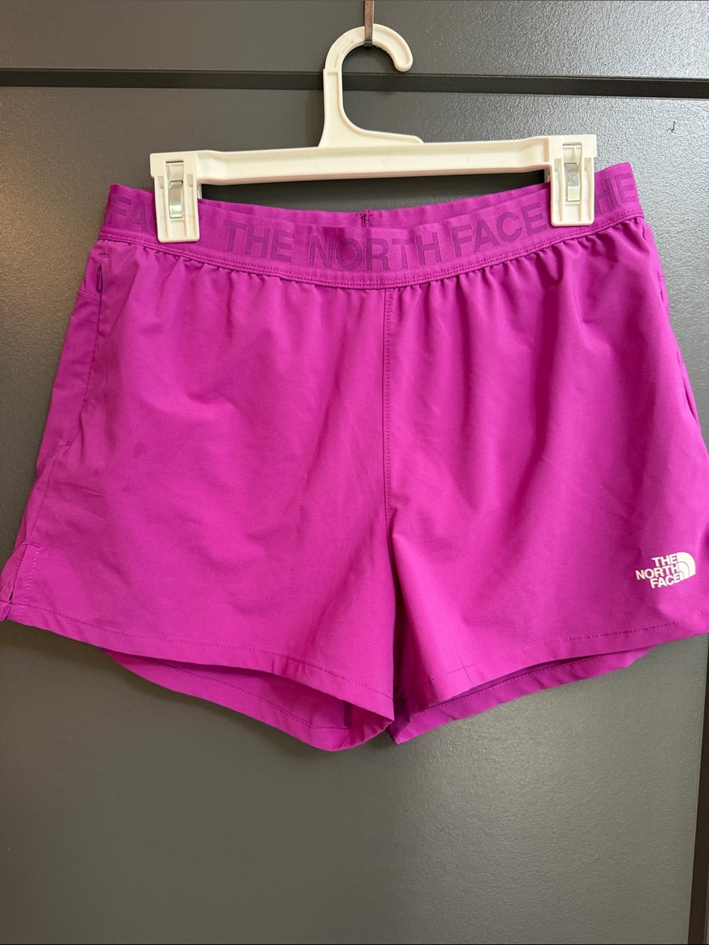 The North Face Women's Wander Purple Shorts